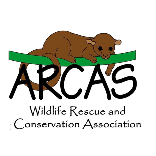 Arcas AR app icon