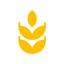 TrigoFi icon
