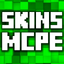 Skins for Minecraft PC • icon
