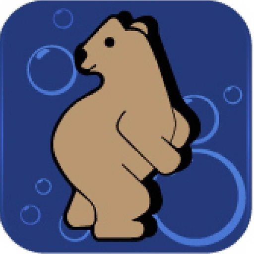 Buddy Bear Car Wash app icon