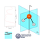 PhycheAR icon
