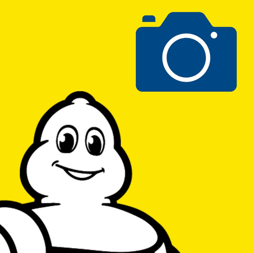 Michelin FIXPIX Plus app icon