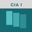 CIA Part 1 Exam Flashcards icon