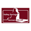 Valley Springs FC icon