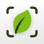 Plant Identifier & Care: Ficus icon
