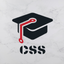 Learn CSS - OnePercent icon