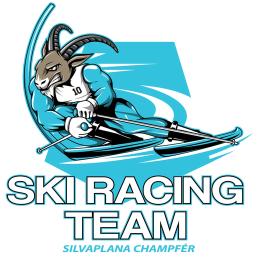 Ski Racing Team app icon