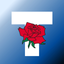 Tyler Transit icon
