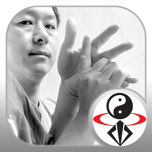 Chin Na In Depth app icon