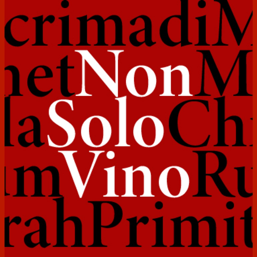 NonSoloVino app icon