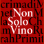 NonSoloVino icon