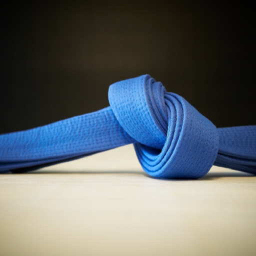 BJJ Blue Belt Requirements 2.0 app icon
