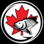 The CCS icon