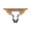 Chase County Longhorns icon