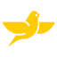 BSST Canary Medical icon
