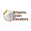 Ansems Grain Elevators icon
