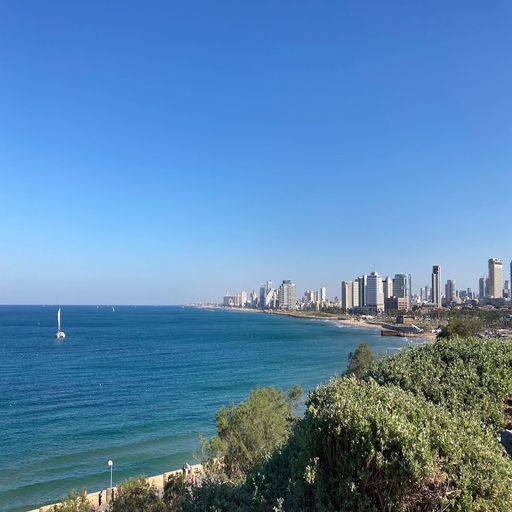 Tel Aviv Guide and Travel app icon