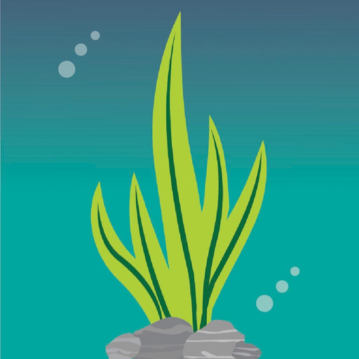 CSUMB MyRaft app icon