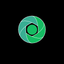 CareCam.io icon