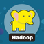 Learn Hadoop & Big Data icon
