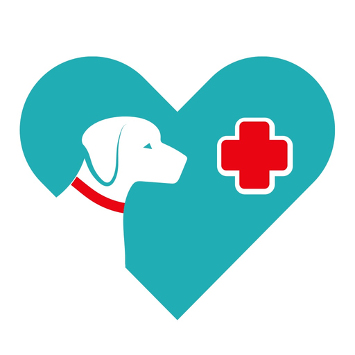 SDTSI app icon