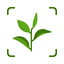 My Plants: AI Identifier icon