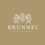 BRUNNEI icon