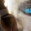 BodyClubTV icon
