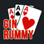 Gin Rummy The Classic icon