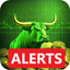 Realtime Stock Screener icon