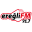 Ereğli FM icon