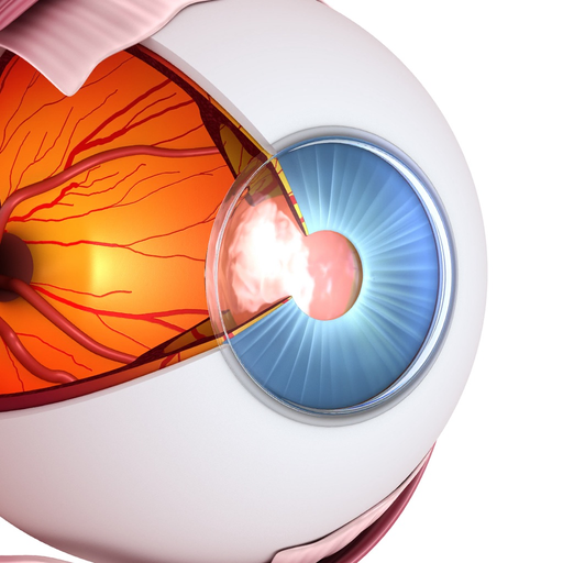 Vision Workout : Eye Training app icon