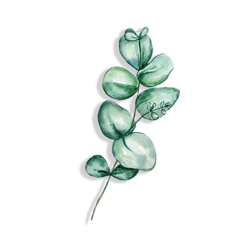 Beauty Spring Flower Stickers app icon