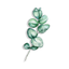 Beauty Spring Flower Stickers icon