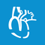 RAAOnline - Medical e-Learning icon