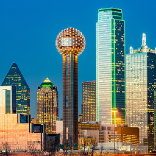 DFW Doc app icon