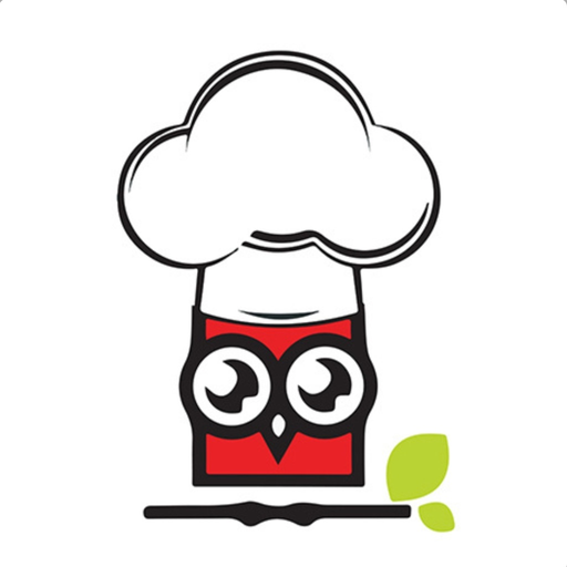 Healthy Master app icon