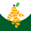 Ginger Fresh icon
