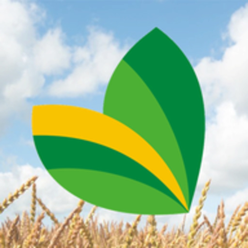 Agroinsumos B&L S.A. app icon