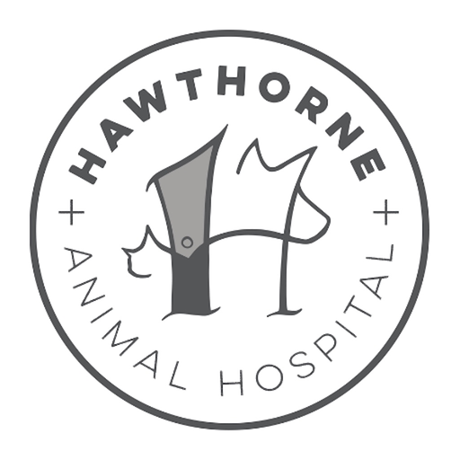 Hawthorne Animal Hospital app icon