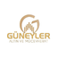 Güneyler Altın icon