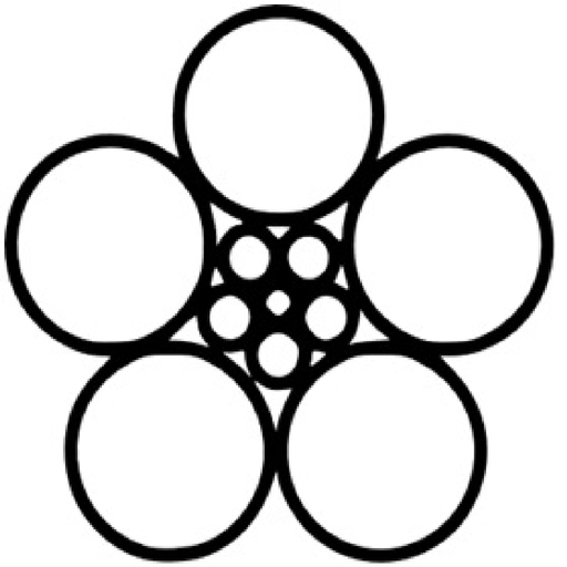 Weiße Rose - Die App app icon