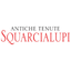 Squarcialupi icon