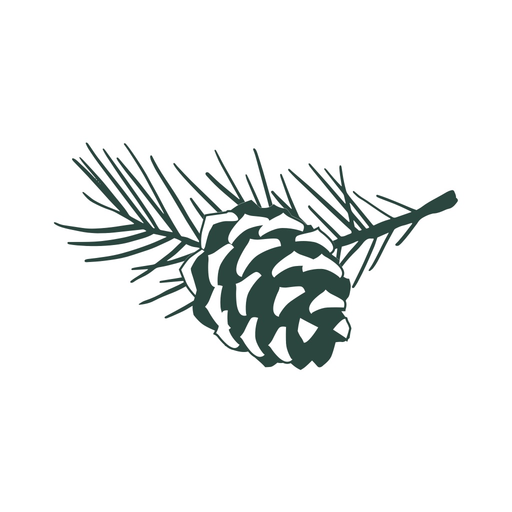 Washington Club CT app icon