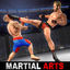 Martial Arts Fight Games 26 icon