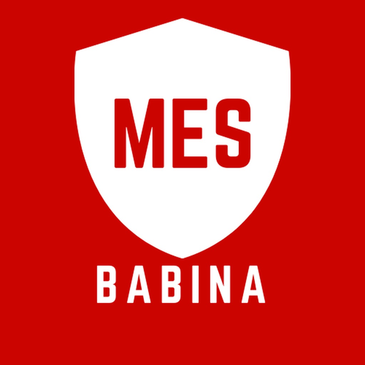 MES Babina app icon