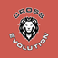 Cross Evolution icon