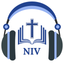 NIV Bible Audio - Holy Version icon