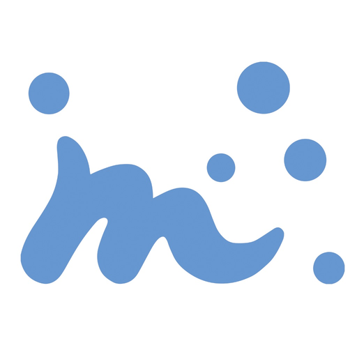 MSR Connect app icon