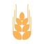Aste Brot icon